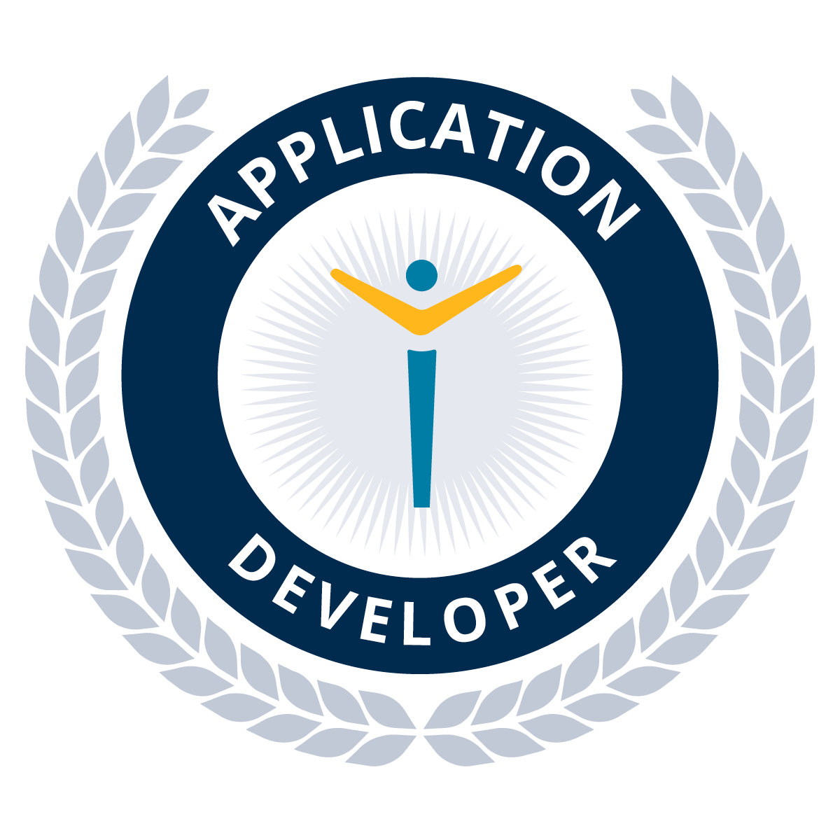 Application Developer